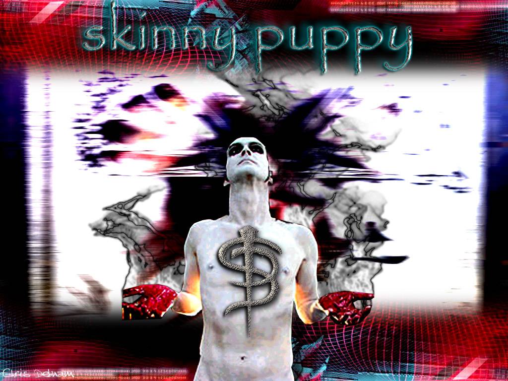 Skinny Puppy discografia LETRAS