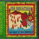 Best of Big Mountain