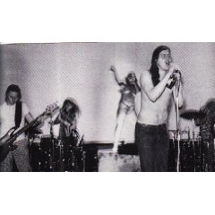 Butthole Surfers /Double Live