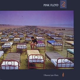 A Momentary Lapse Of Reason