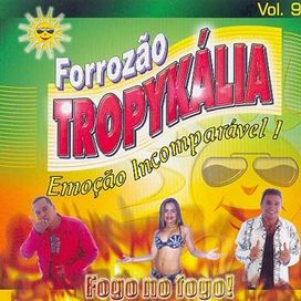 Seus Maiores Sucessos (vol.1)