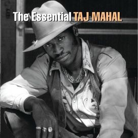 Essential Taj Mahal