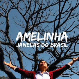 Janelas Do Brasil